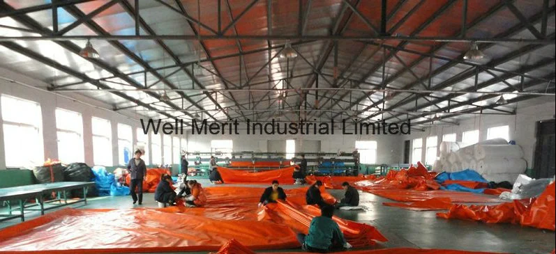 HDPE Tarpaulin/ Polyethylene Tarpaulin/ Poly Tarp