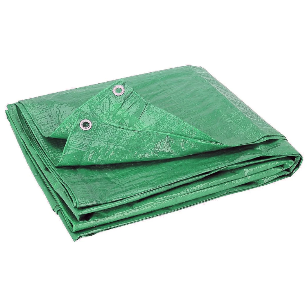 Cars Cover Tarps Cheap Poly Tarpauline Blue or Green Shelter Tarps